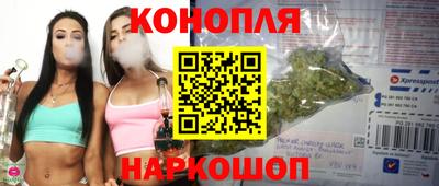 прущие грибы Пугачёв
