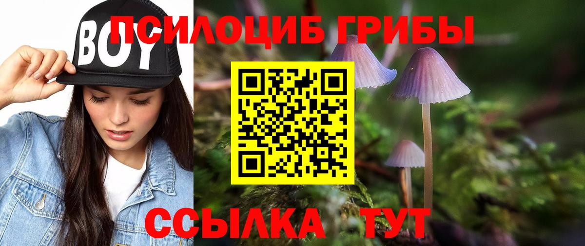 Псилоцибиновые грибы GOLDEN TEACHER Шахты